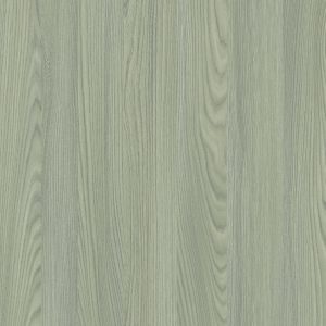 TCW1 226820GC20REGHIN20ASH.jpg