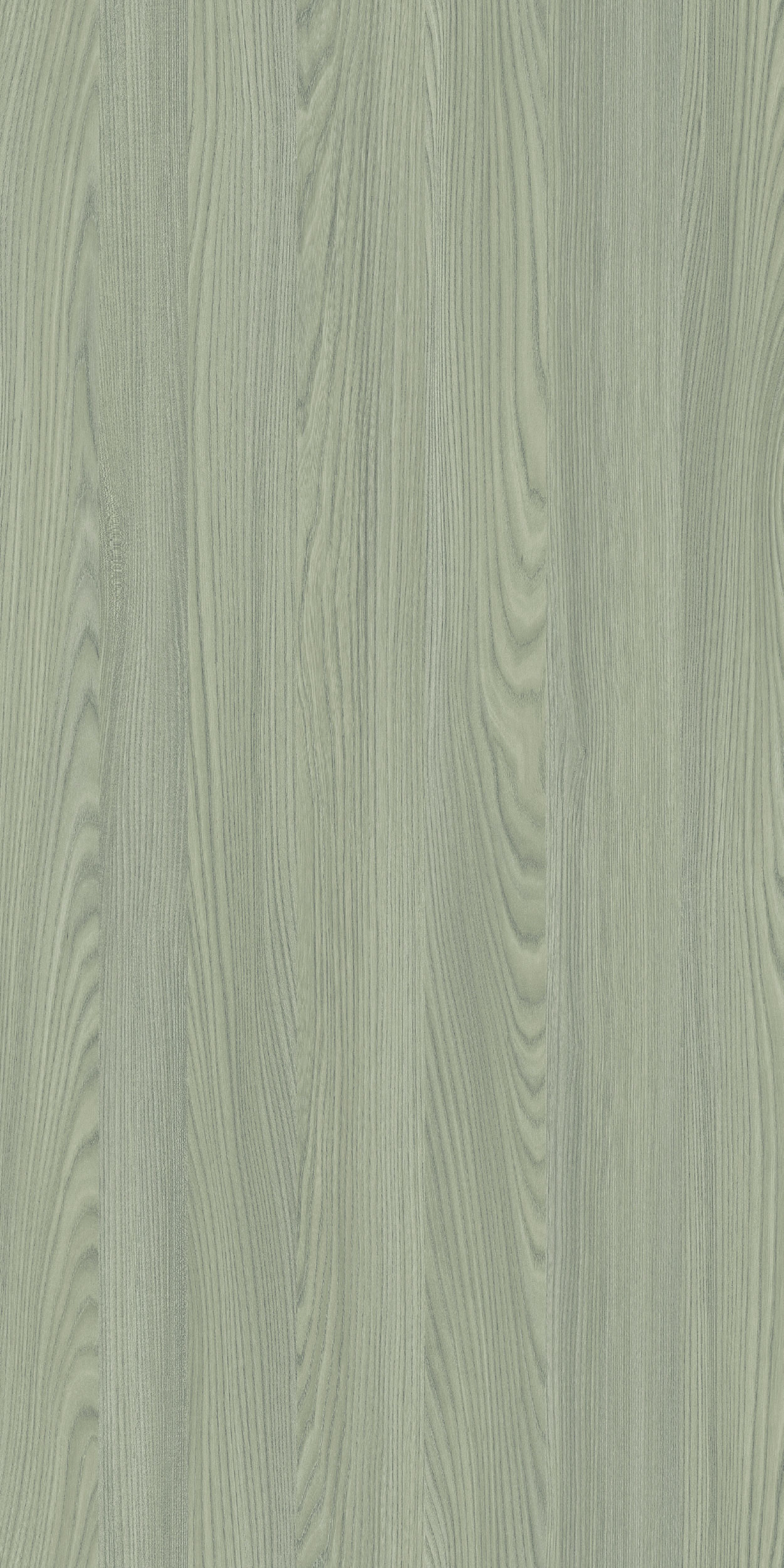 TCW1 226820GC20REGHIN20ASH.jpg