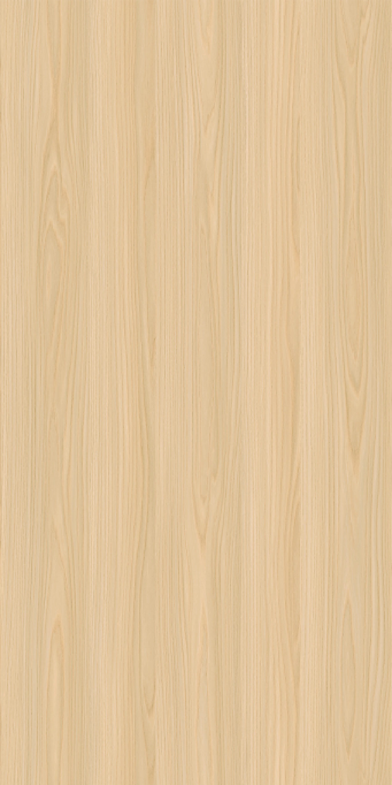 TCW2 220220YC20HEUSTREU20ELM.jpg
