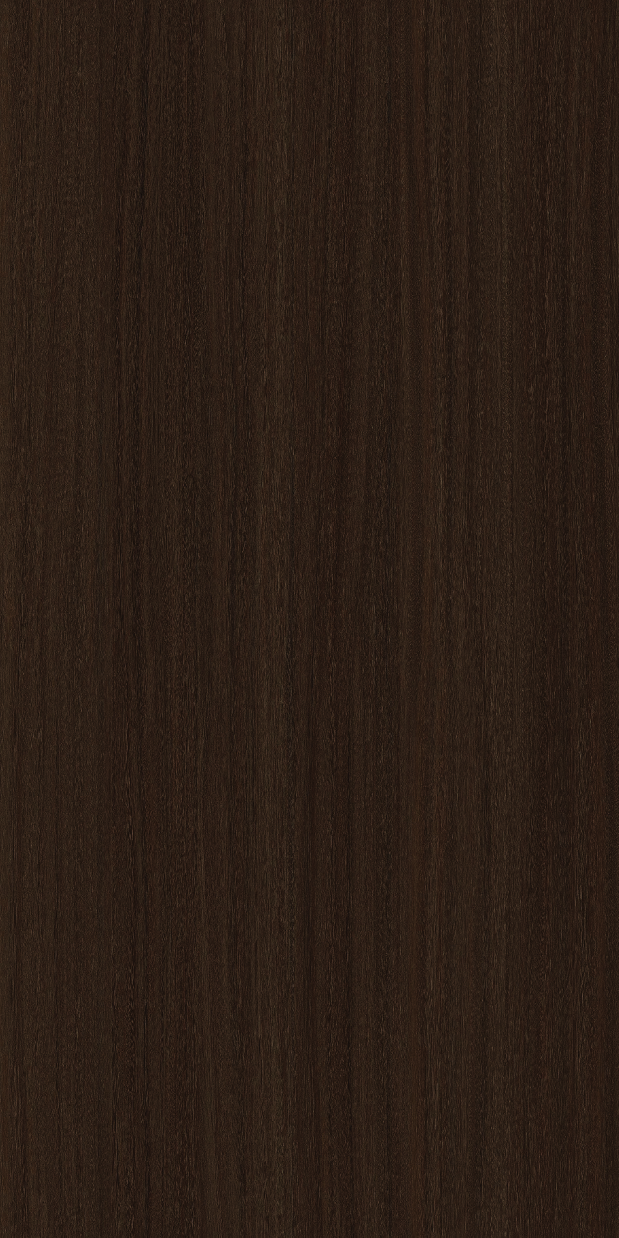 TCW2 222520BC20ELLENDALE20EUCALYPTUS.jpg