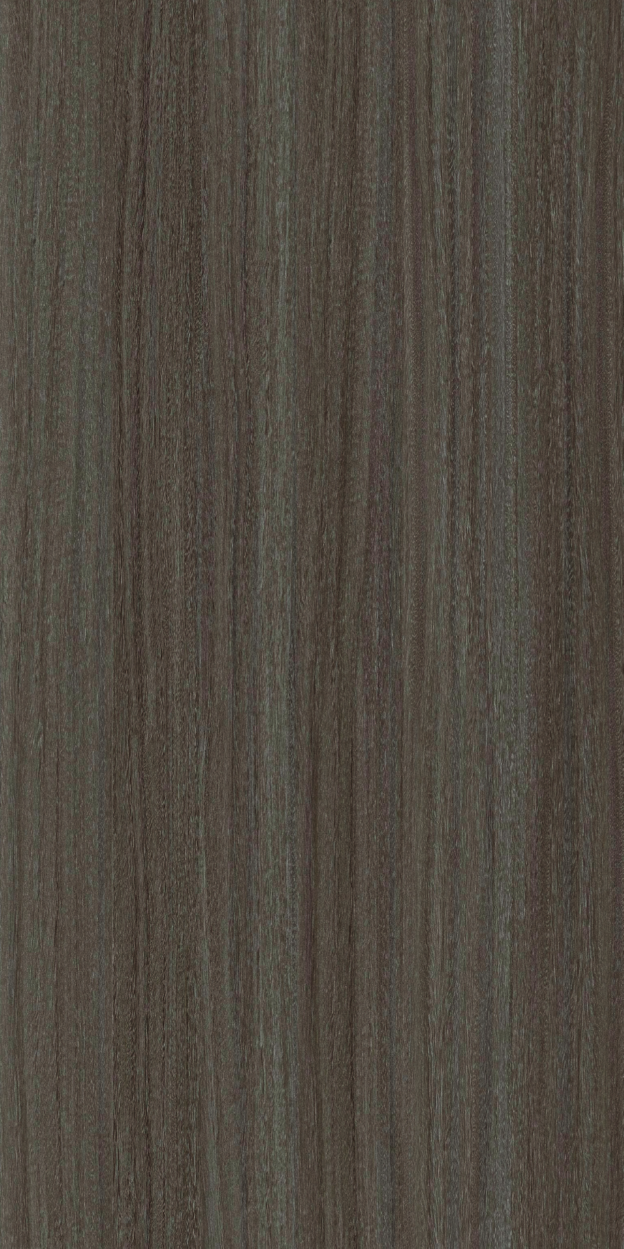 TCW2 222720BC20KALBARRI20EUCALYPTUS.jpg