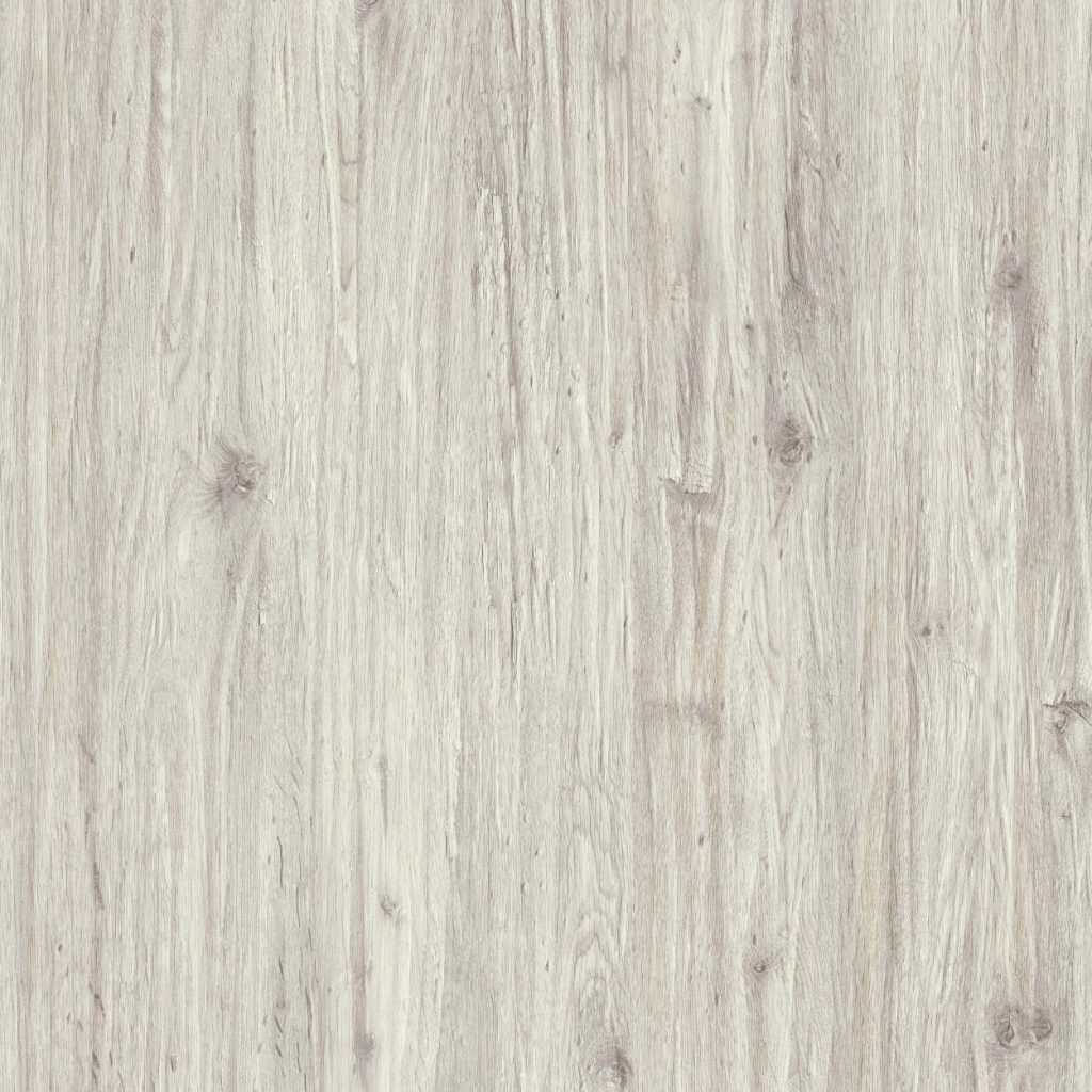 TCW2 223220WC20MAMMOTH20OAK.jpg