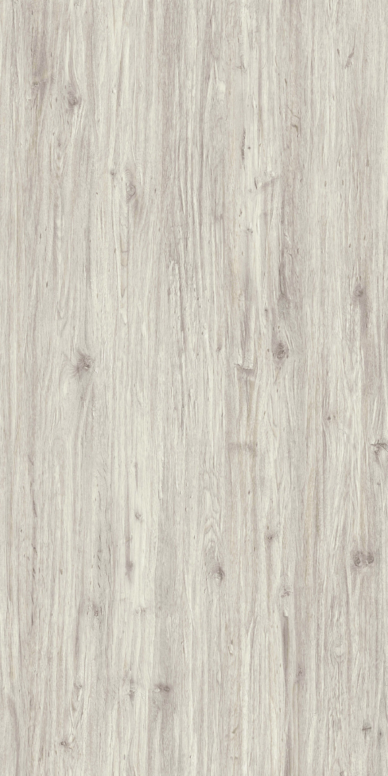 TCW2 223220WC20MAMMOTH20OAK.jpg