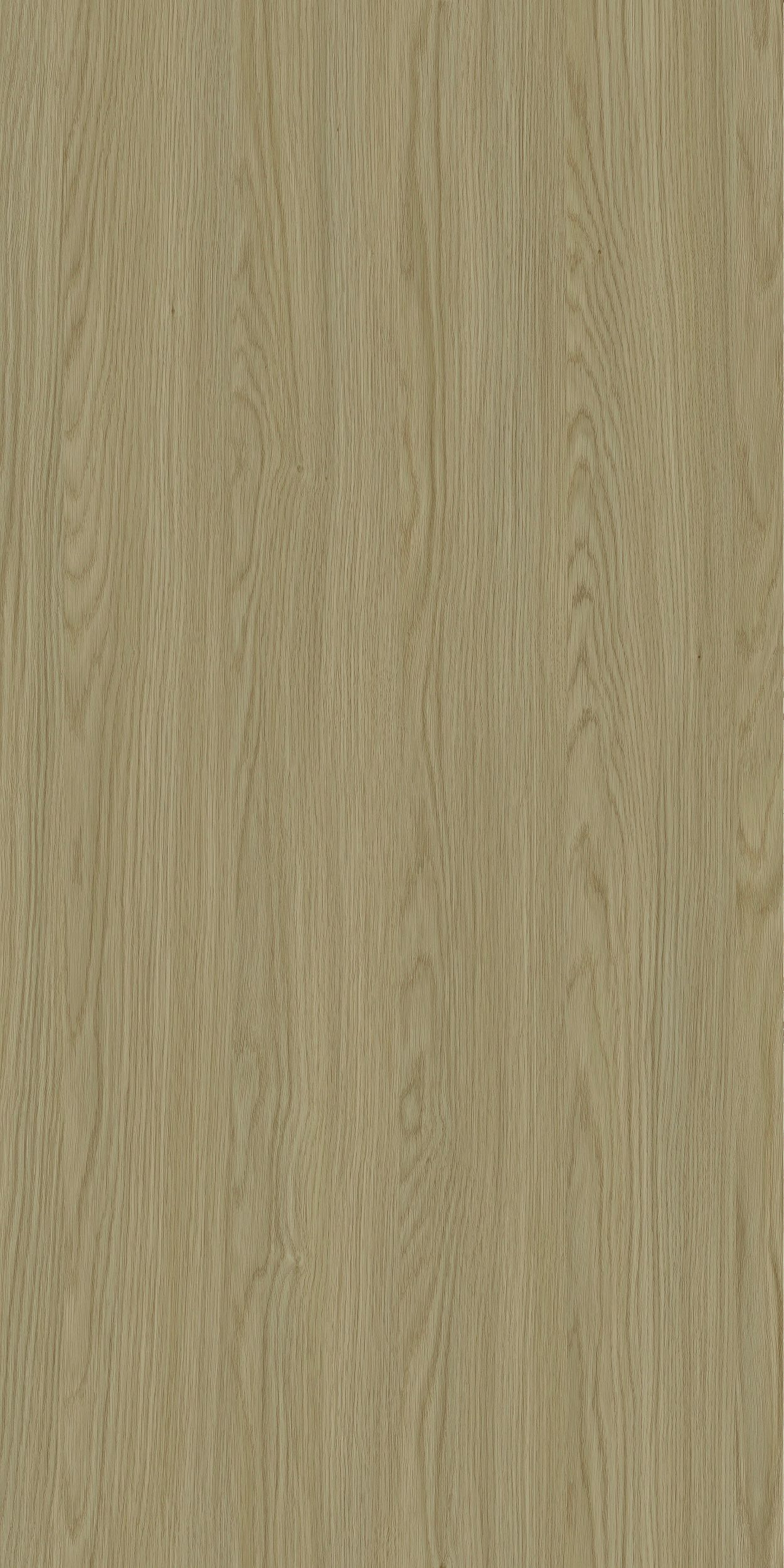 TCW2 226120BC20ECHTEN20OAK.jpg