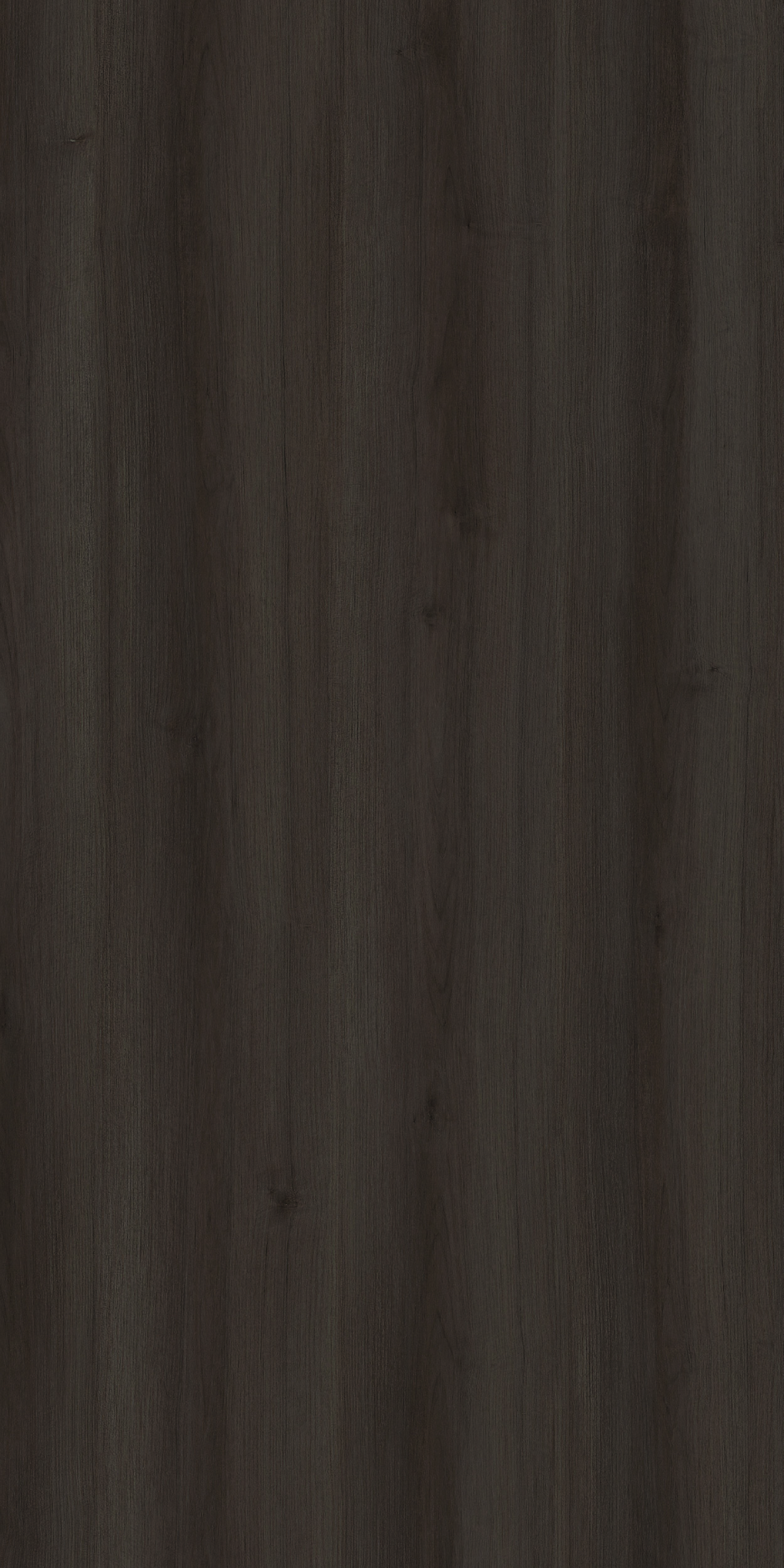 TCW2 226320GC20BOYLE20APPLE20WOOD.jpg