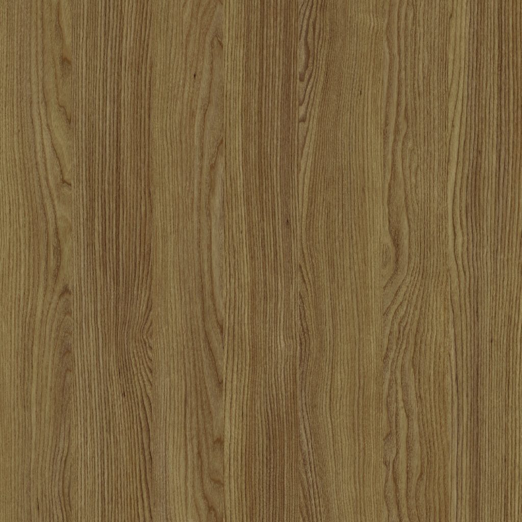 TCW2 226720BC20ALAMOGONDO20ASH.jpg