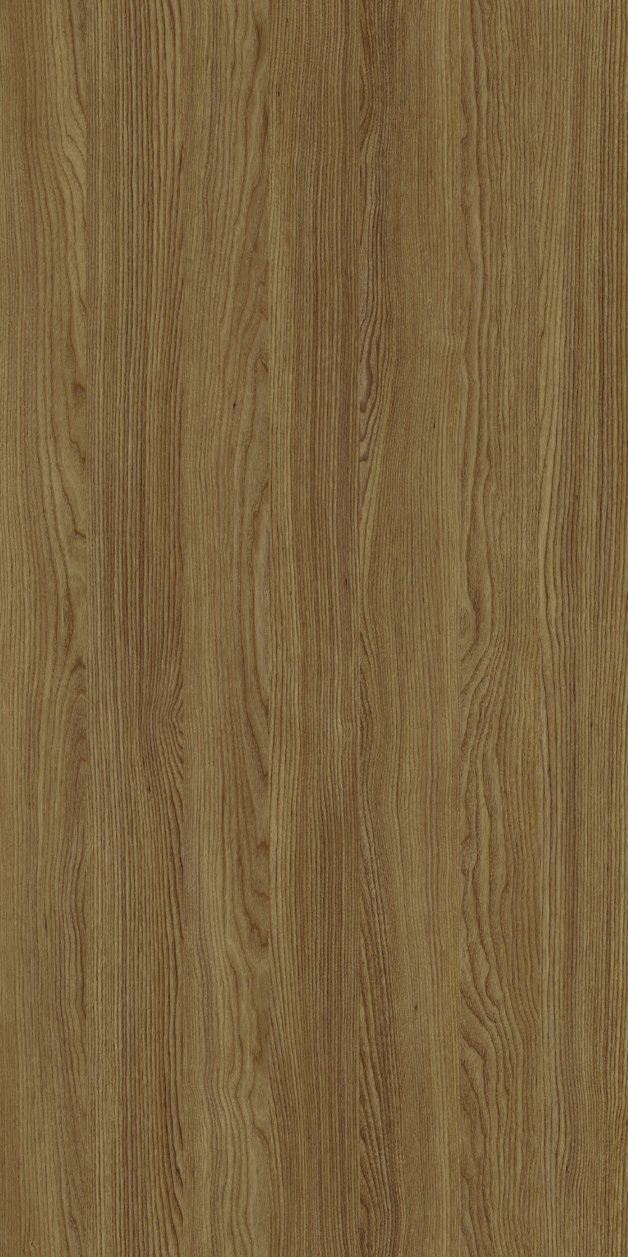 TCW2 226720BC20ALAMOGONDO20ASH.jpg