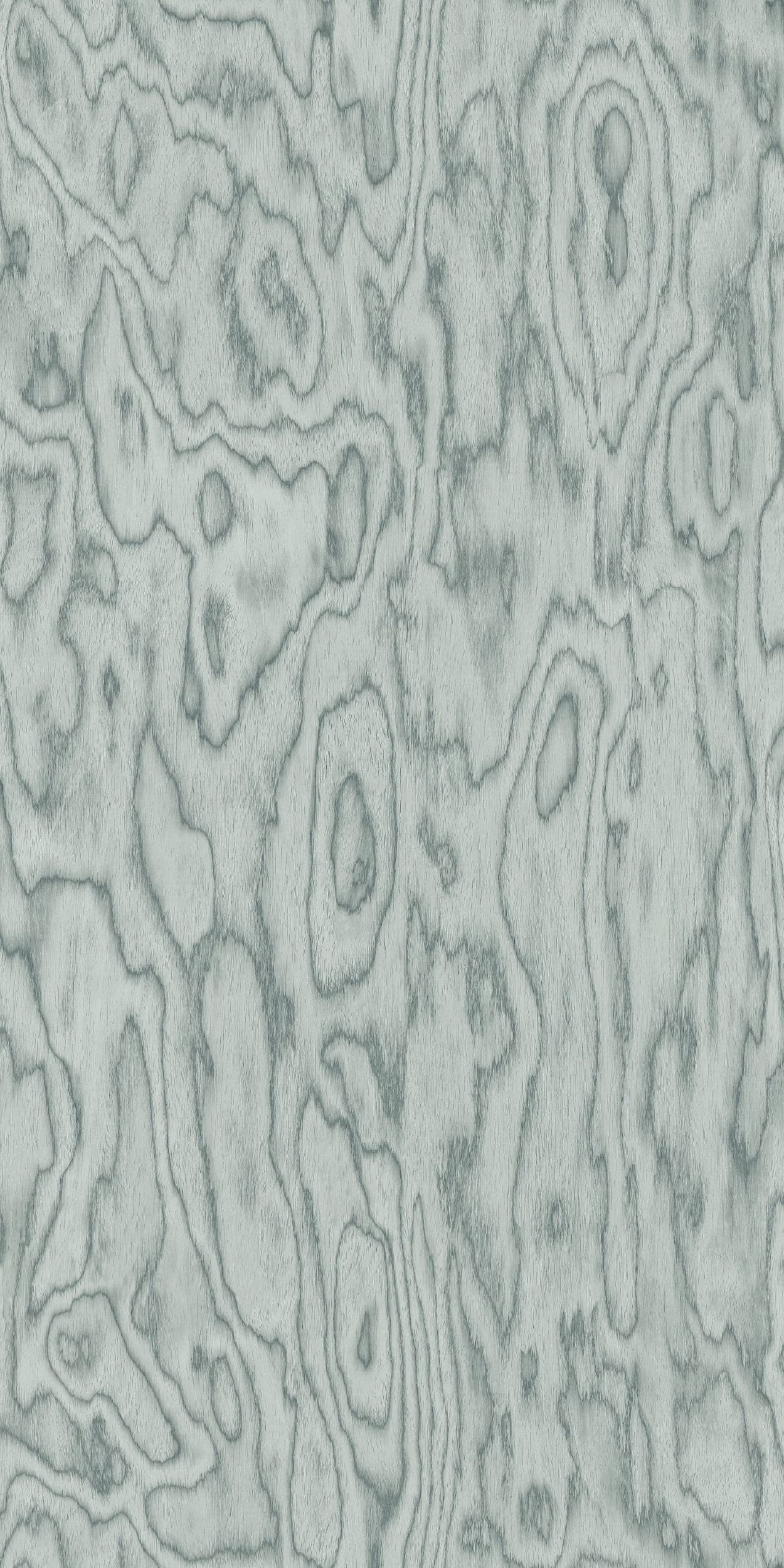 TCW2 227320GC20JAPARA20BIRCH.jpg