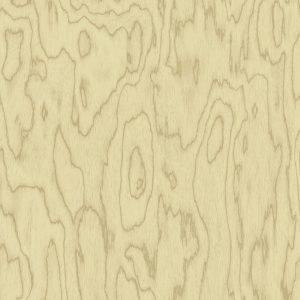 TCW2 227620YC20CIREBON20BIRCH.jpg
