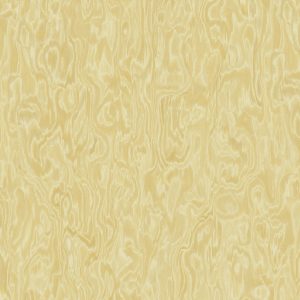 TCW2 228120YC20LUMIECC80RE.jpg