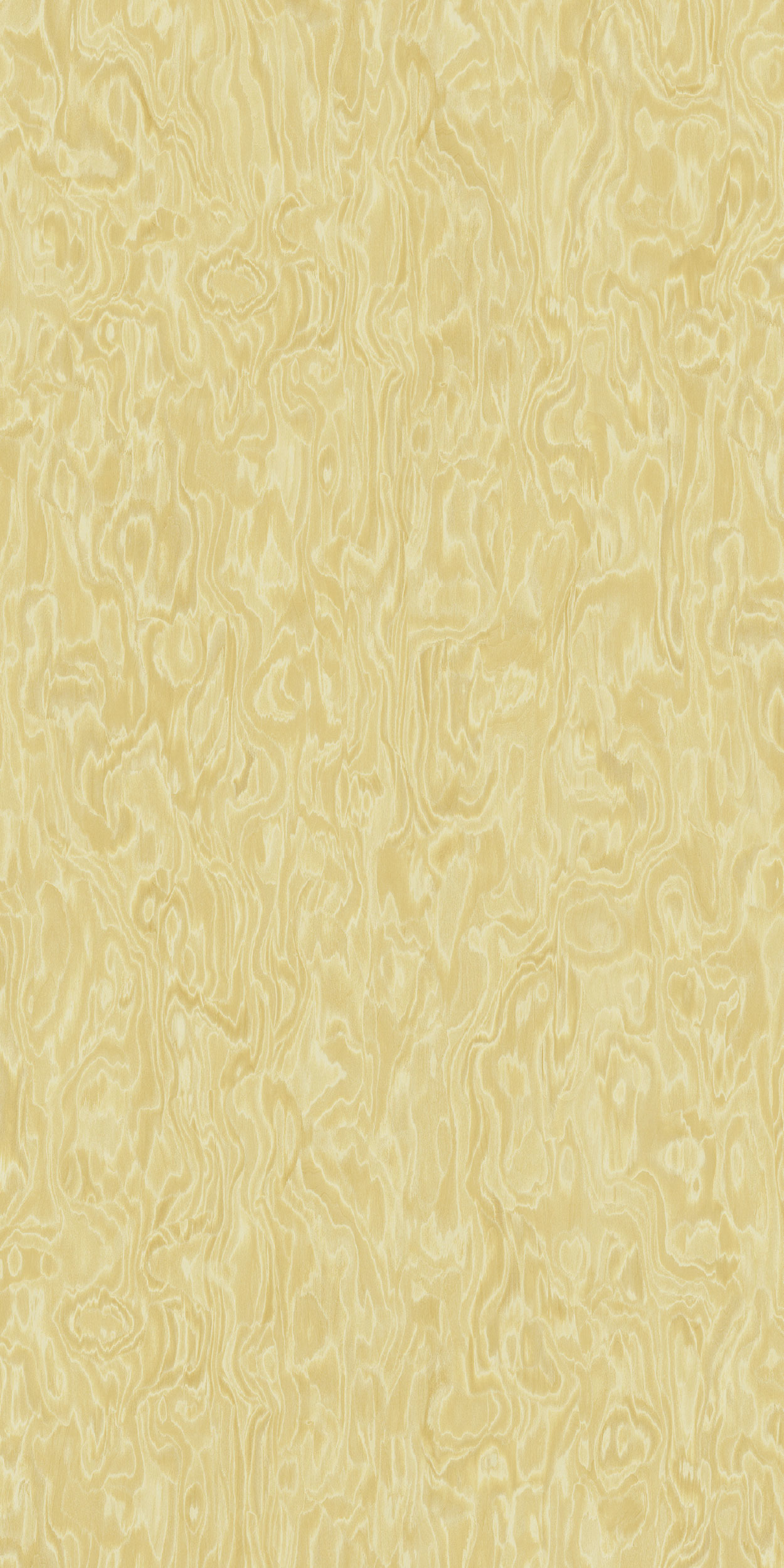 TCW2 228120YC20LUMIECC80RE.jpg