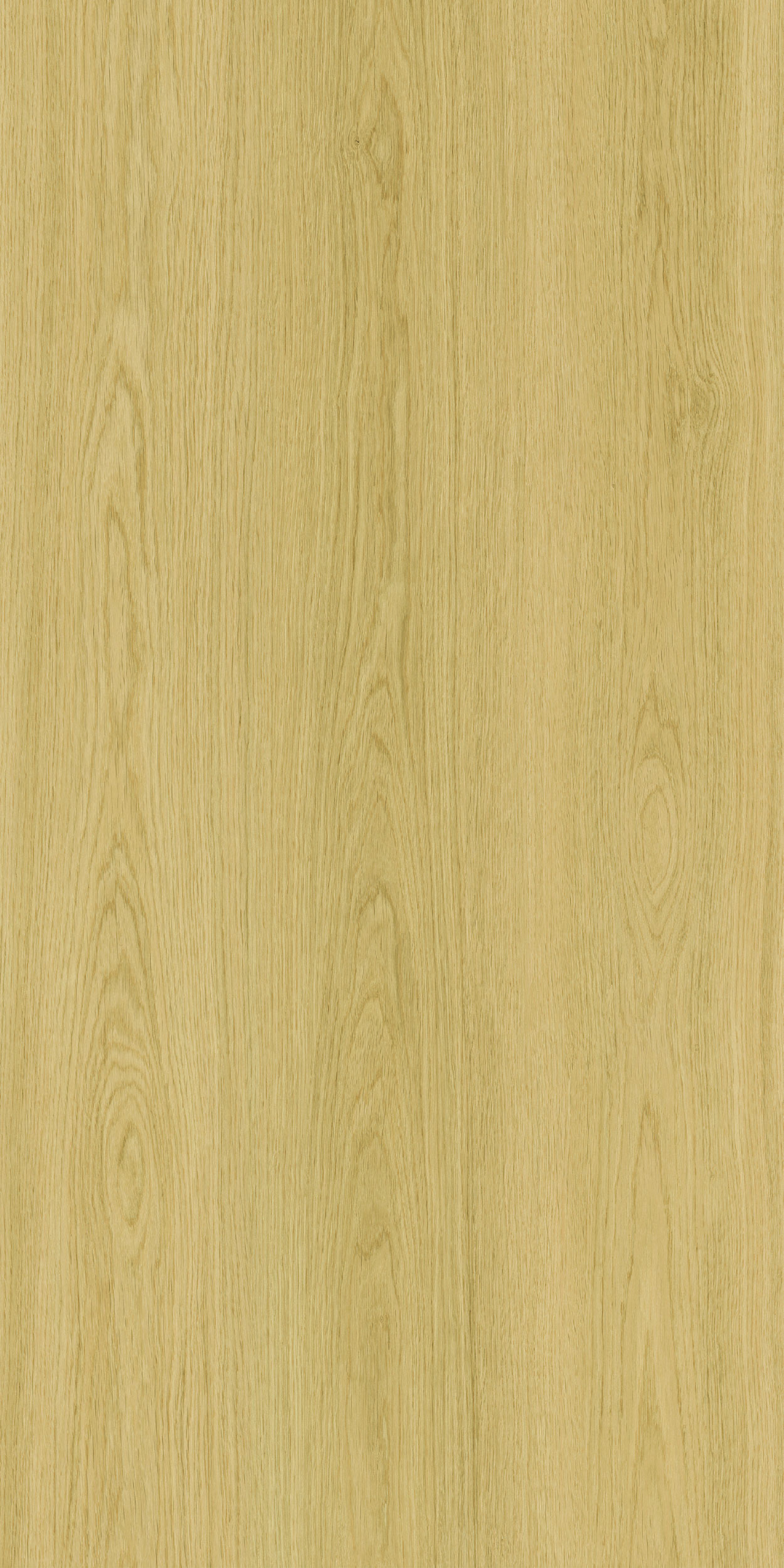 TCW5 228520YC20MONARCH20OAK.jpg